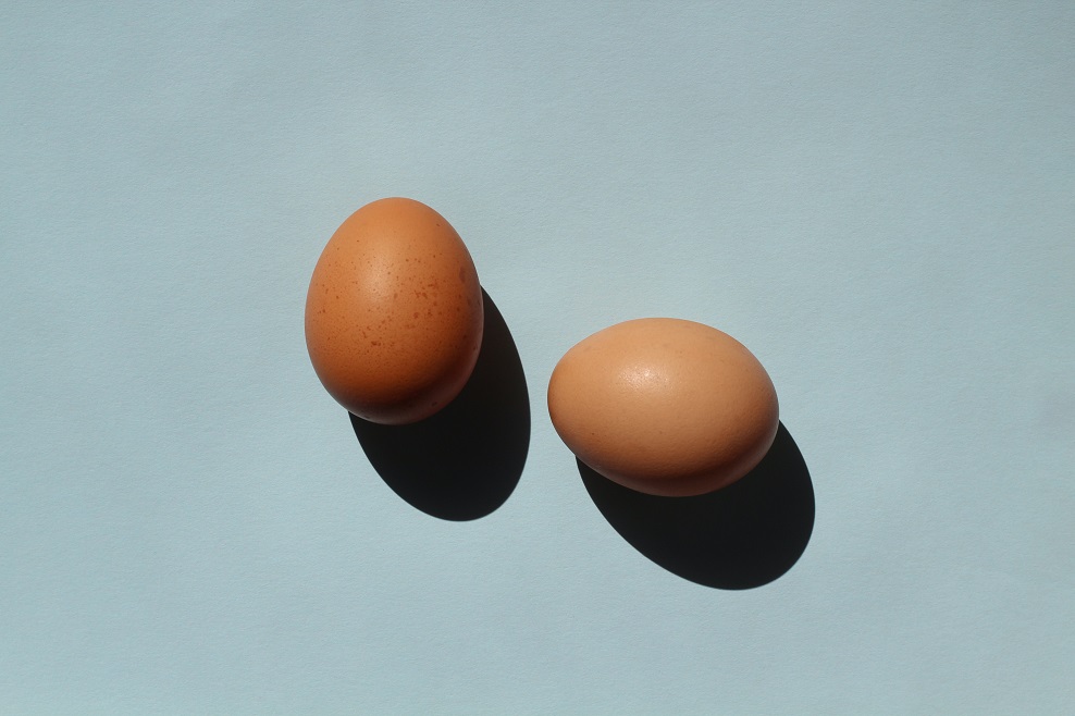 eggs-djaheda-richers